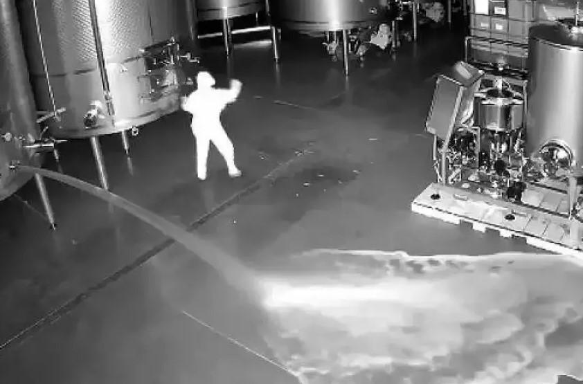 Mulher derrama vinhos e gera prejuízo de R$ 13 milhões; VÍDEO