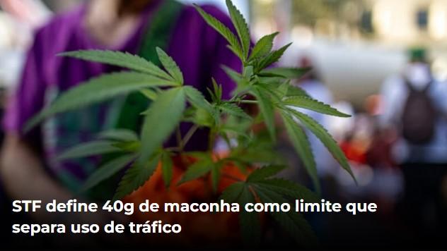 STF define 40g de maconha como limite que separa uso de tráfico
