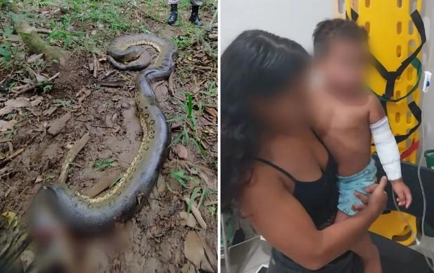 Sucuri de aproximadamente 6 metros ataca criança de dois anos