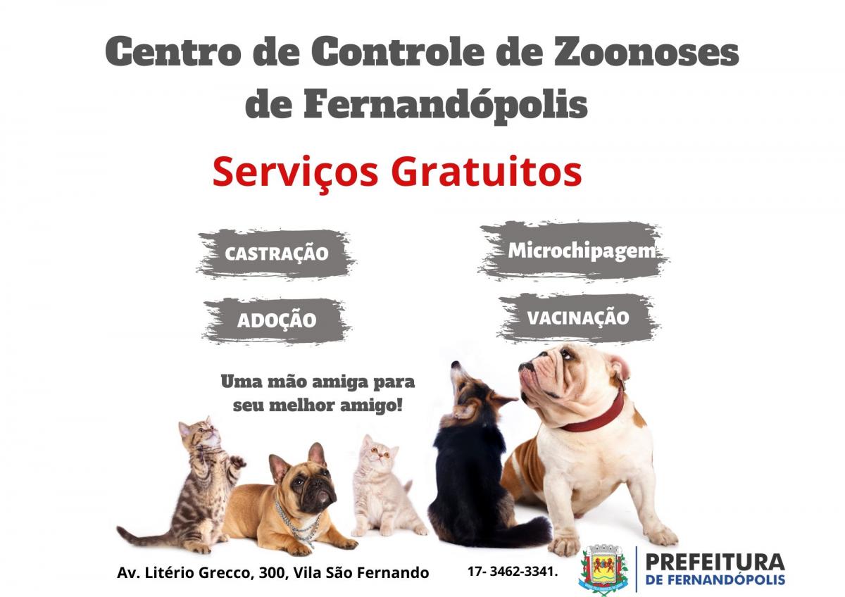 Centro de Zoonoses tem cerca de 70 animais disponíveis para adoção