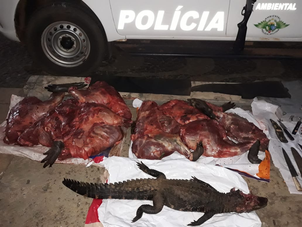 Riolândia - Polícia Ambiental prende caçadores por porte irregular de arma e caça ilegal