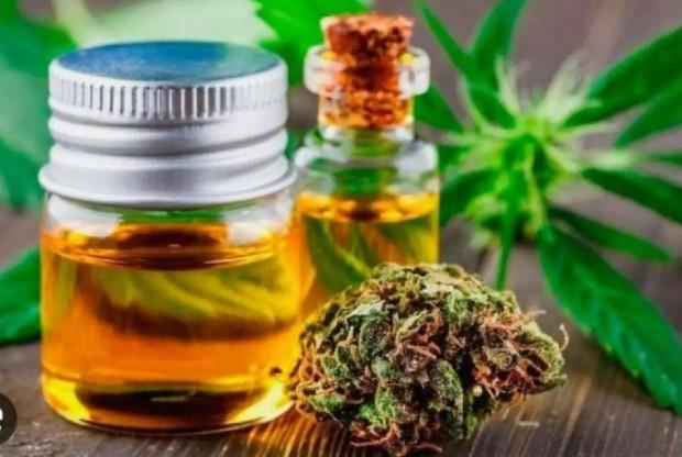 STJ julga liberação de maconha medicinal e industrial