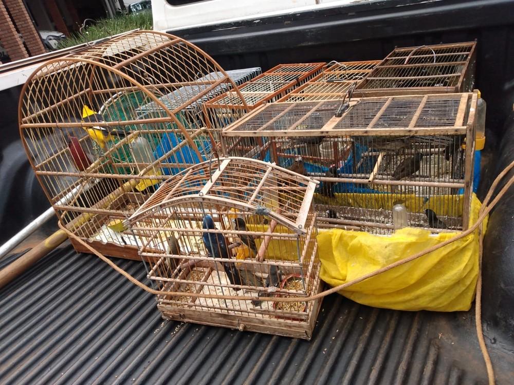 Caminhoneiro é multado em mais de R$ 50 mil após ser flagrado com 47 aves silvestres