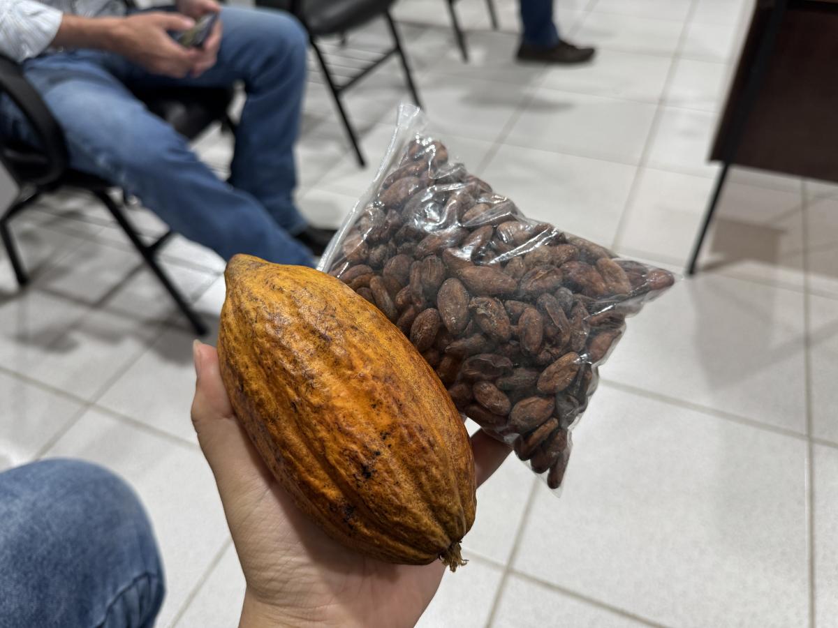 Palestra sobre o Cultivo do Cacau em Jales incentiva novos investimentos na agricultura regional