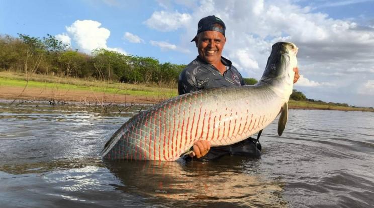 Pescador de Mira Estrela captura pirarucu gigante de 80 kg no Rio Grande