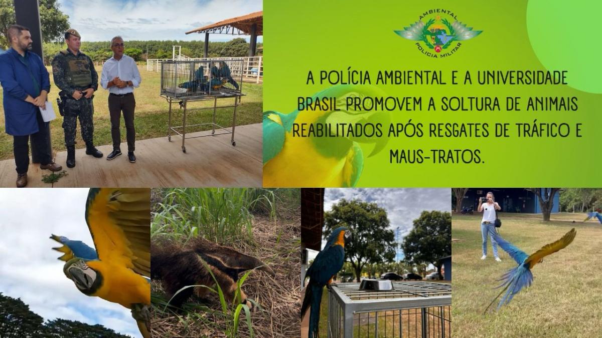 Polícia Ambiental e Universidade Brasil Realizam a Soltura de Animais Reabilitados Pós-Resgate
