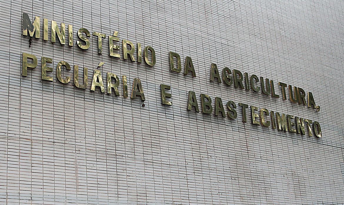 Ministério confirma casos de vaca louca em Mato Grosso e Minas Gerais