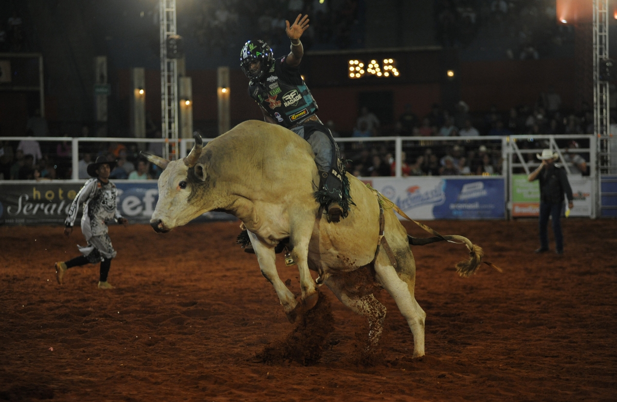 Rodeio toros e cavalos 