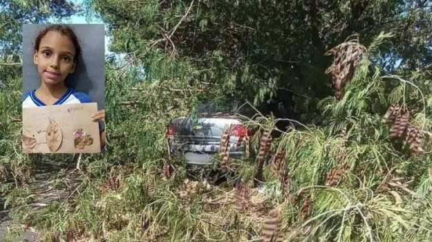 Menina de 8 anos morre após acidente em rodovia de Riolândia