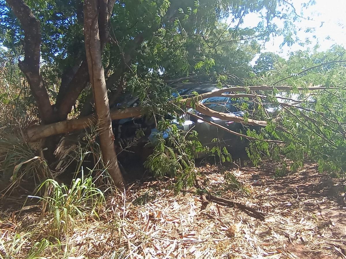Menina de 8 anos morre em trágico acidente na Rodovia Valdemar Lopes Ferraz