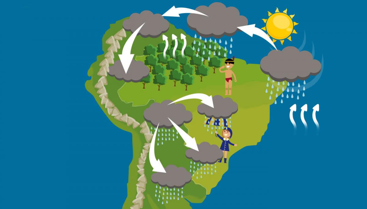 Destruição da Amazônia afeta diretamente o clima de Fernandópolis e região