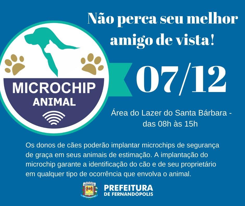 Campanha de Microchipagem de Cães continua no Santa Bárbara, neste sábado
