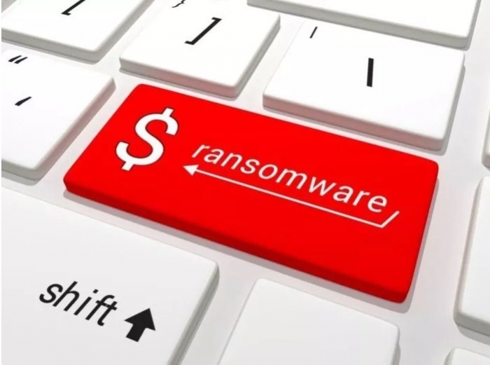 Ransomware : Tudo o que você precisa saber sobre esse crime digital.