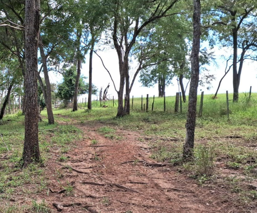 Polícia autua proprietário rural por dano ambiental em Jales