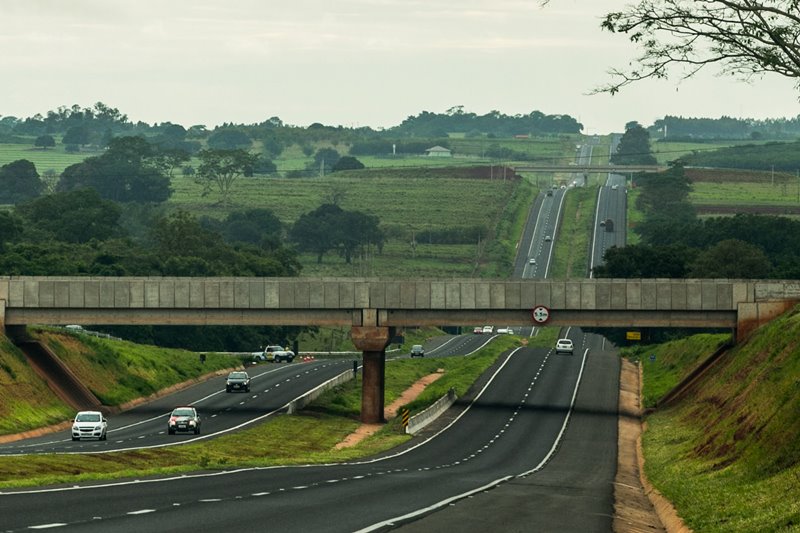 Rodovia Euclides da Cunha é eleita a melhor do Brasil