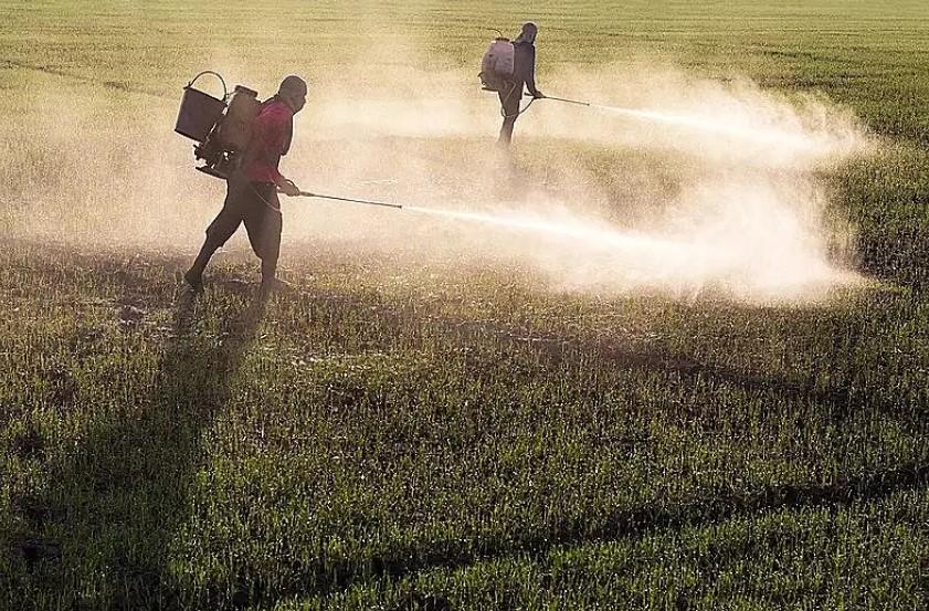 Senado aprova projeto de agrotóxicos, apelidado por ambientalistas de PL do Veneno