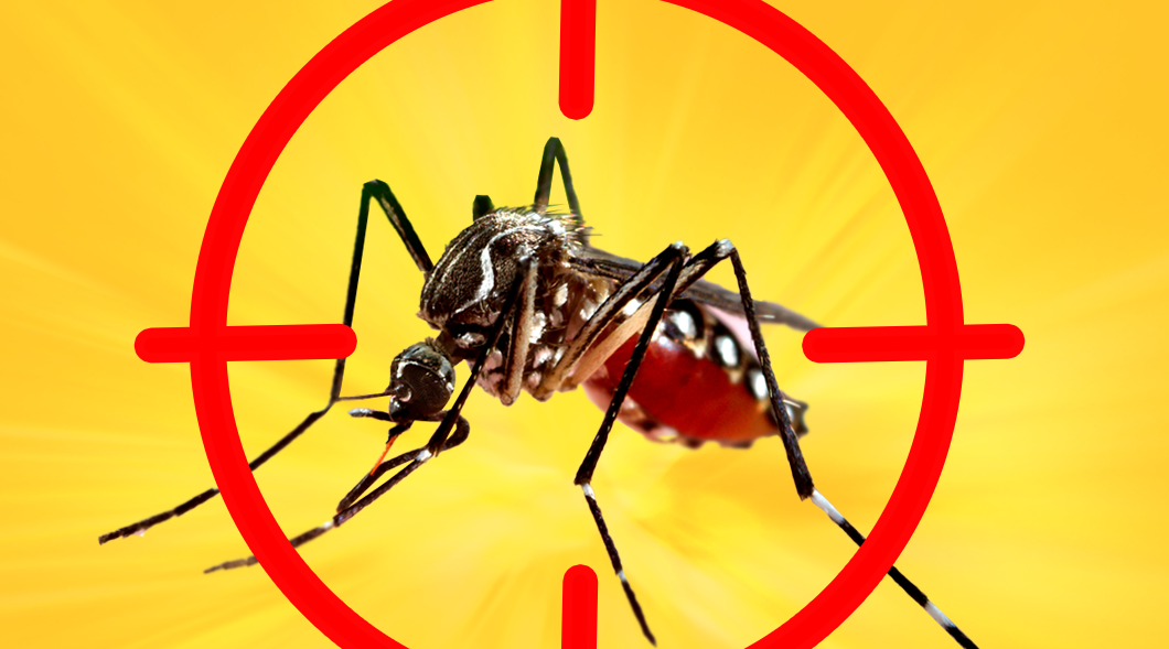 Fernandópolis declara epidemia de dengue e mobiliza sete secretarias em mutirão