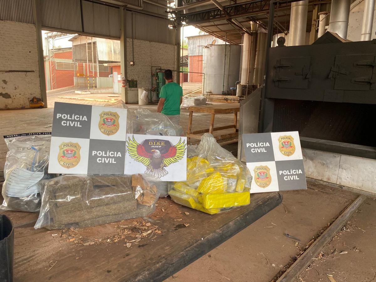 DISE de Jales Incinera Mais de 80 Kg de Drogas, com Prejuízo Superior a 1 Milhão de Reais para o Tráfico