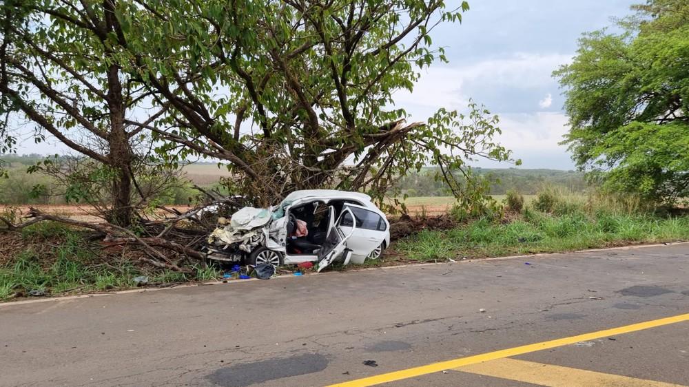 Motorista morre após bater na traseira de caminhão, perder controle da direção e atingir árvore