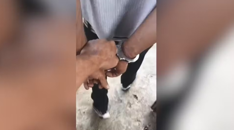 Empresário é preso por agressão e cárcere privado da esposa em Fernandópolis