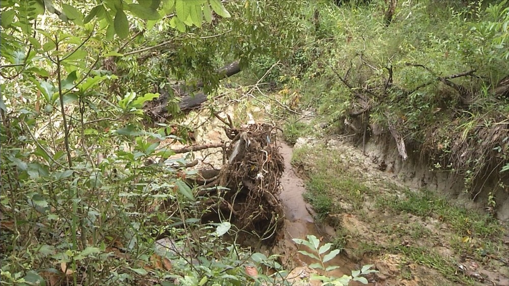 Corpo em estado de decomposição é encontrado em bairro de Rio Preto