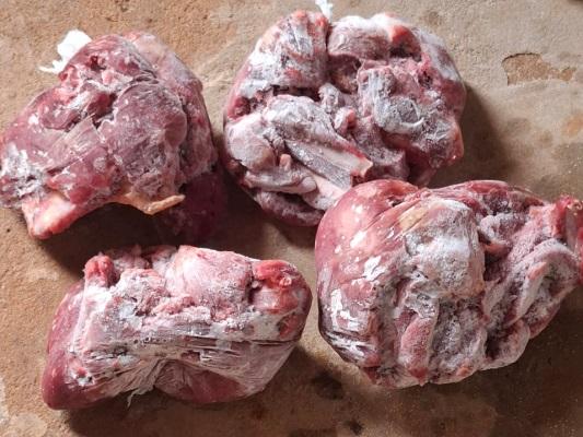 Homem é flagrado com carne de capivara e pomba em freezer e recebe multa e processo criminal