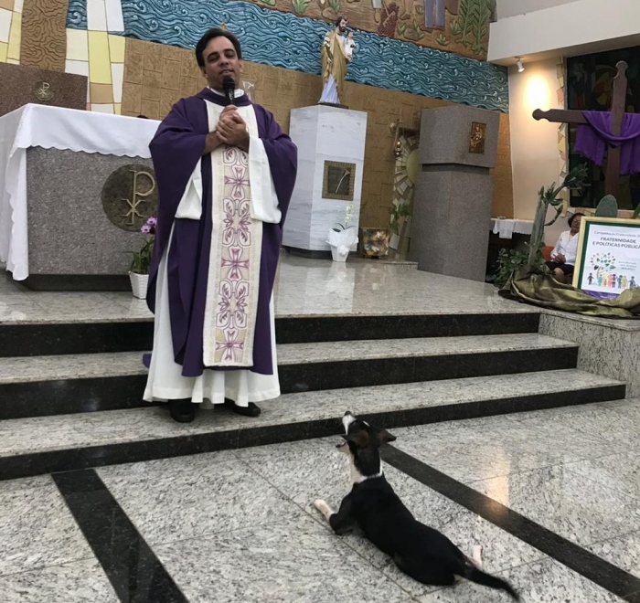 Cachorro que 'assiste' à missa e espera hóstia fica famoso nas redes sociais; VÍDEO