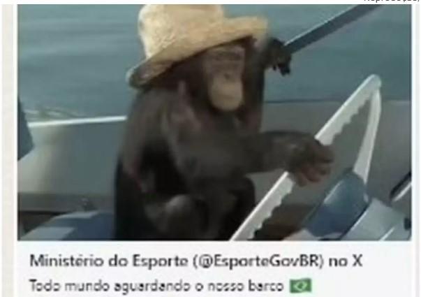 Ministério do Esporte faz post racista sobre delegação brasileira