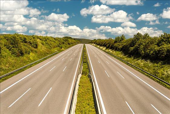 Tribunal de São Paulo Decide que Concessionária de Rodovia Deve Indenizar Seguradora por Acidente com Animal na Pista