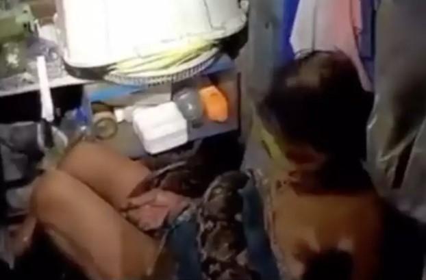 Mulher é salva após 2h enrolada por cobra de 20 kg; VÍDEO