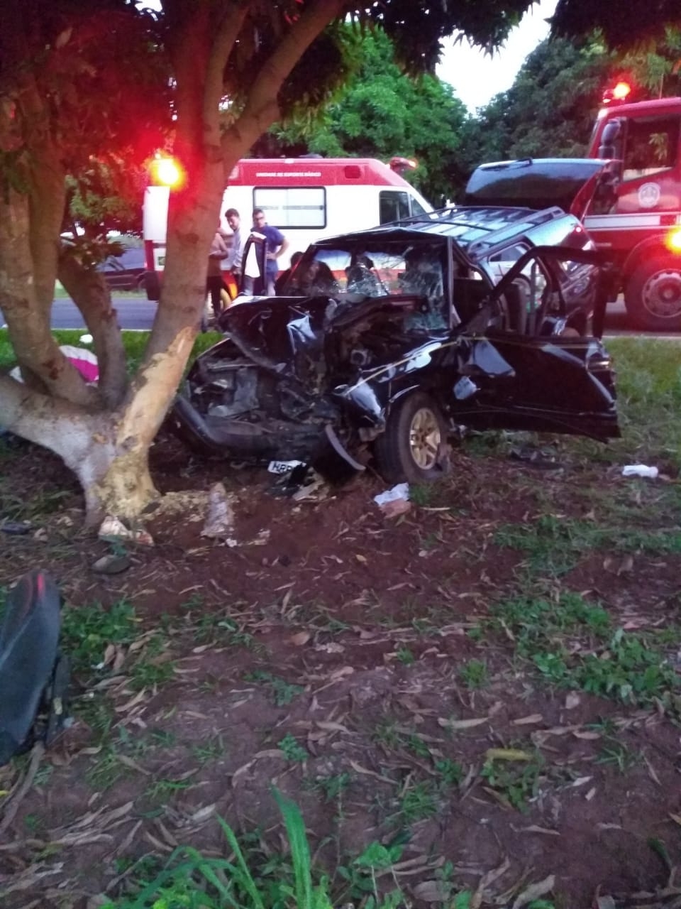 Santa Rita D'Oeste - Motorista infarta ao volante e morre após colidir com árvore