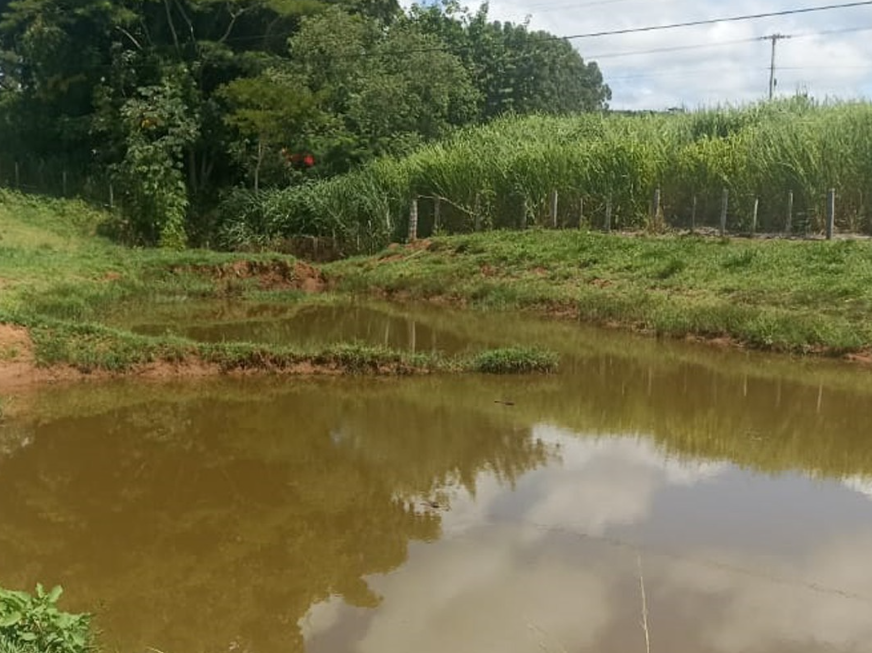 Fiscalização por satélite descobre irregularidades em fazenda de Olímpia