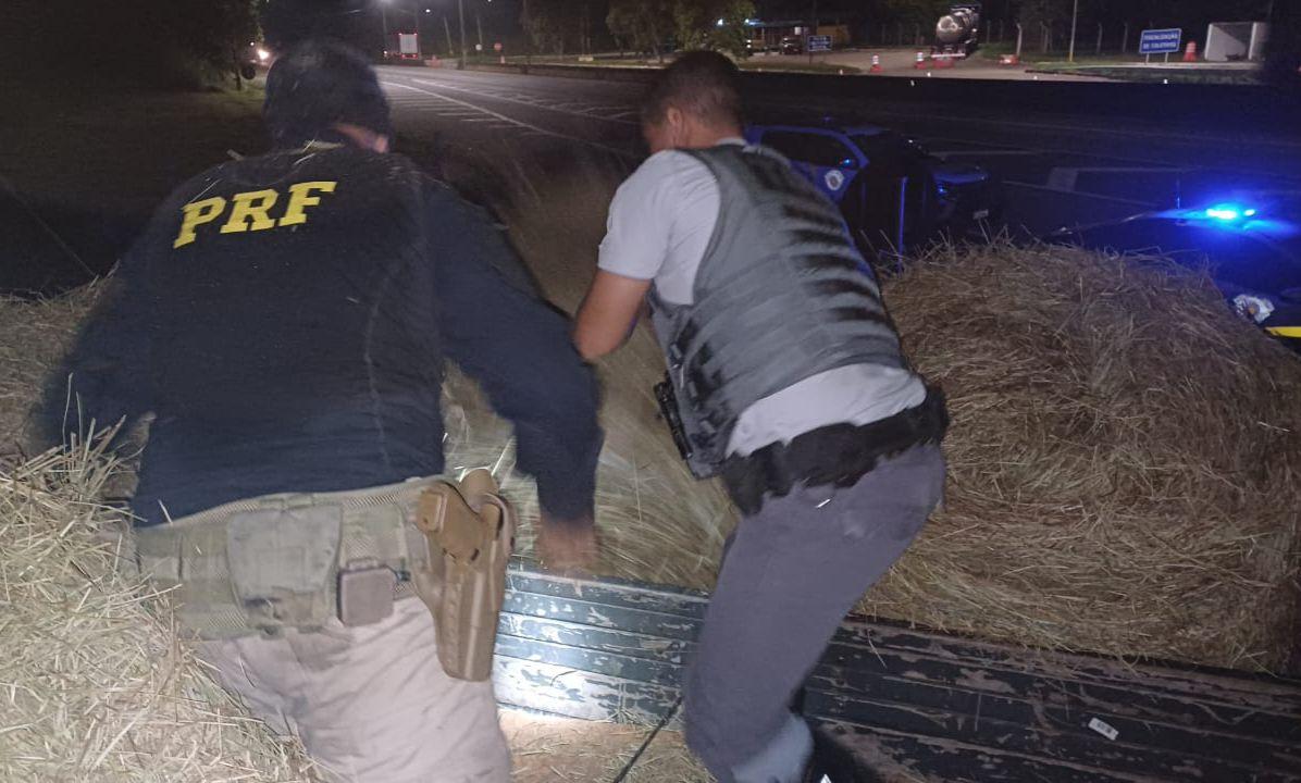Maconha é encontrada em meio a feno durante blitz no interior paulista