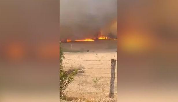 Homem desaparece durante incêndio no interior de SP