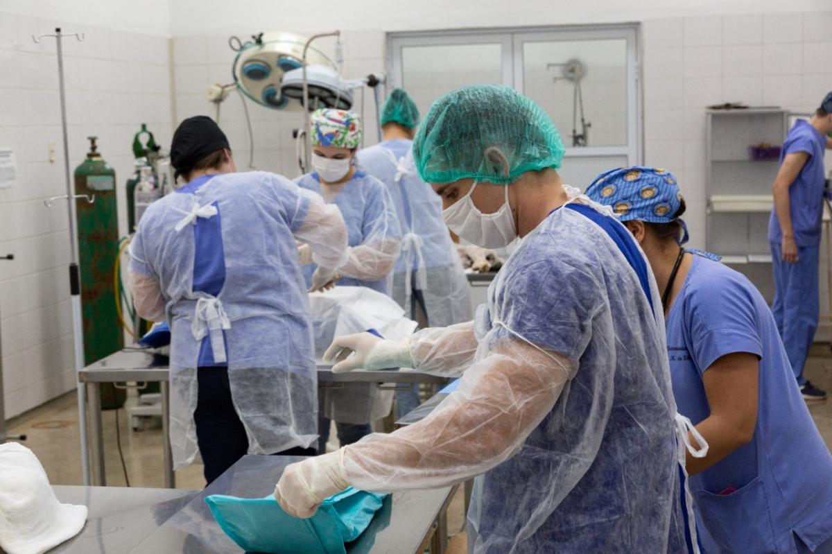 Hospital Veterinário da UB no campus de Fernandópolis está aberto ao público