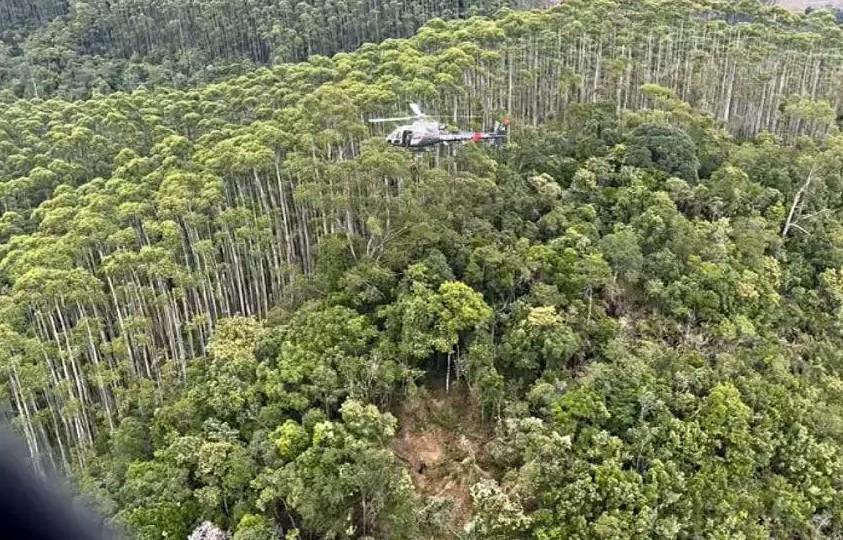 Helicóptero que caiu em viagem para Ilhabela bateu em vegetação durante voo, diz Cenipa