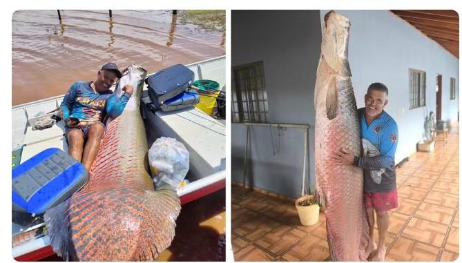 Em dias seguidos, pescador captura pirarucus de 133 kg e 161 kg no interior de SP: 'O segredo é ter paciência'