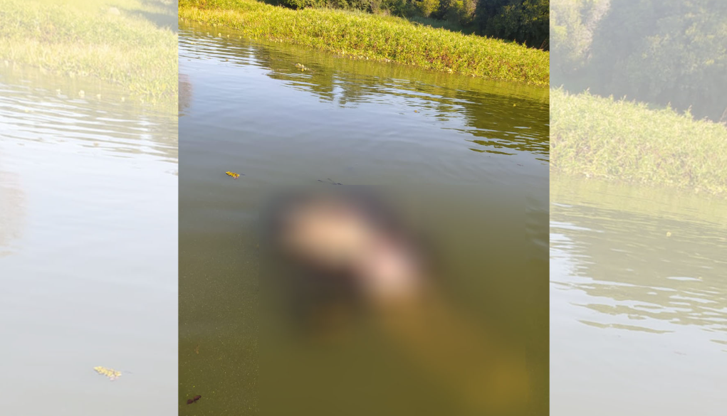 Vítima sem braços e presa a peso ainda não foi identificada em Sales