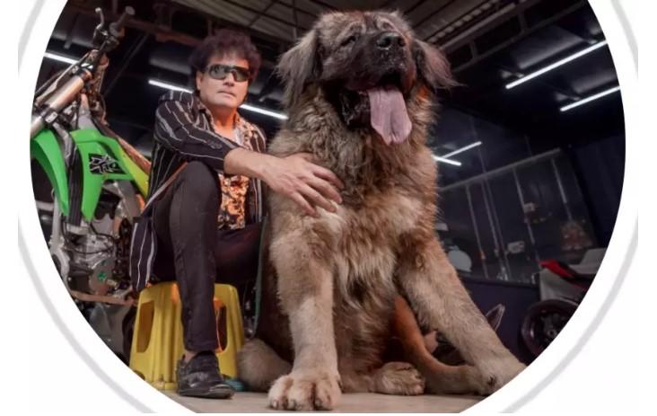 Cachorro mais caro do mundo é vendido por R$ 28 milhões; VÍDEO