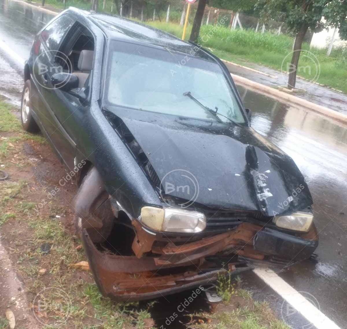 Jales - Motorista perde controle do carro e derruba Palmeira Imperial na Avenida Paulo Marcondes