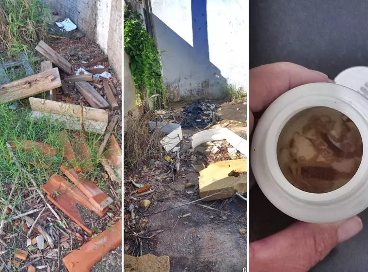 Casa abandonada vira foco de escorpiões em Fernandópolis; criança é picada