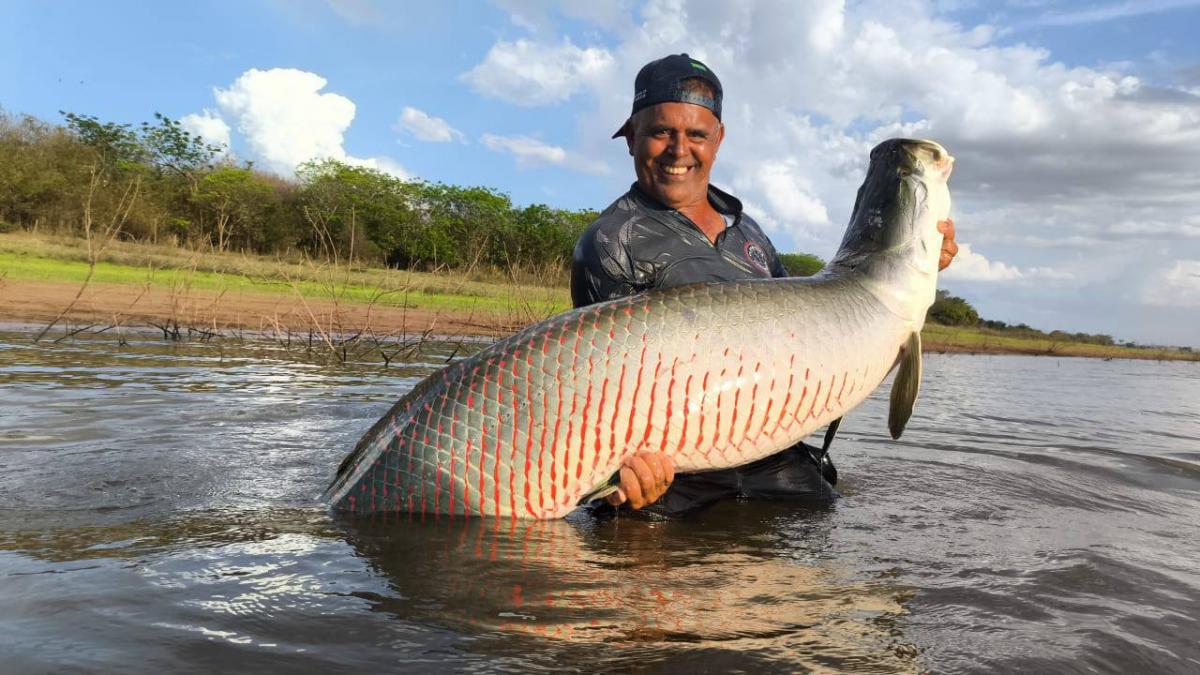 Pirarucu de 80 kg é fisgado por pescador em Mira Estrela