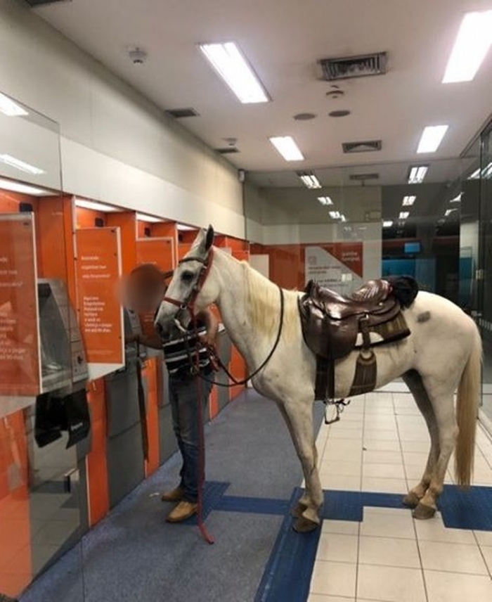 Dono leva cavalo para dentro de agência bancária em Várzea Paulista
