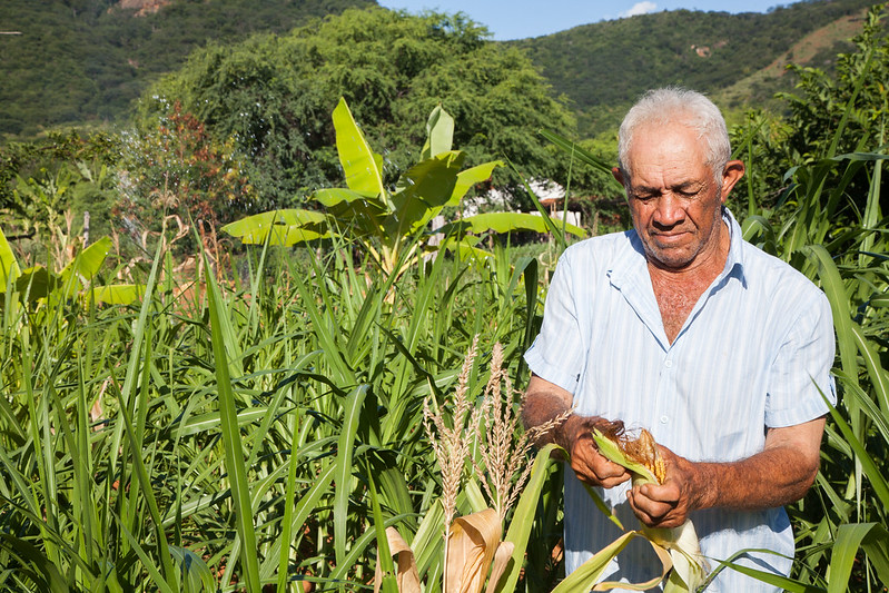 Congresso aprova auxílio emergencial à agricultura familiar, que depende de sanção presidencial