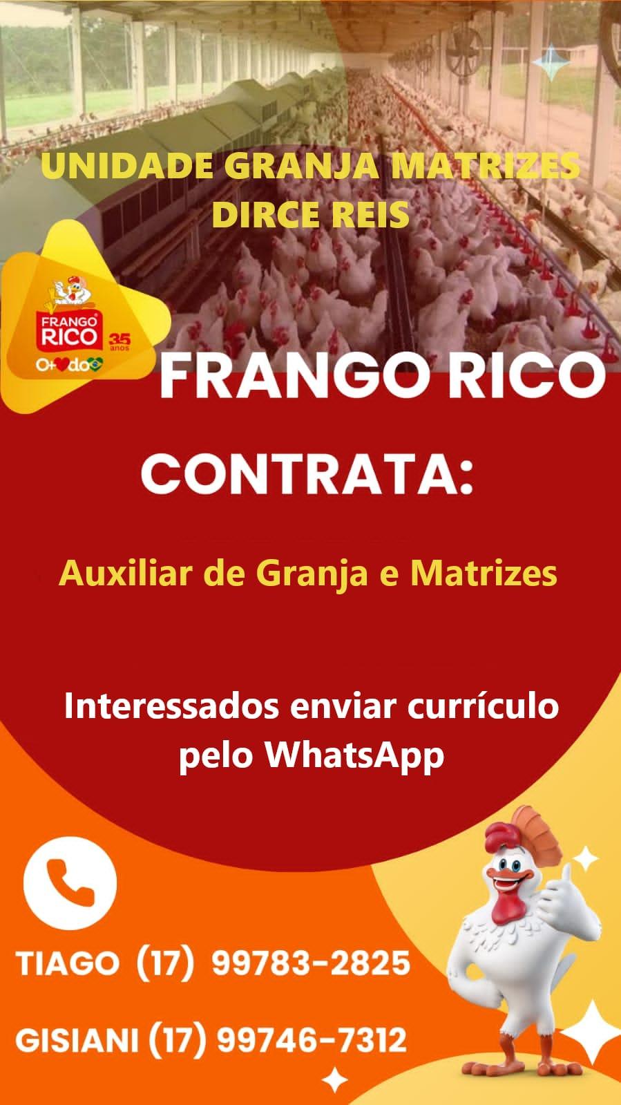 Dirce Reis - Frango Rico oferece oportunidade de emprego com transporte saindo de Jales