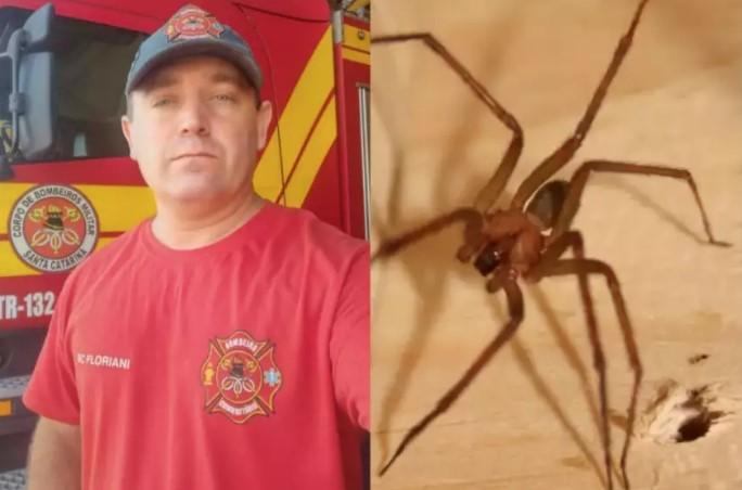 Considerado herói, bombeiro morre após picada de aranha