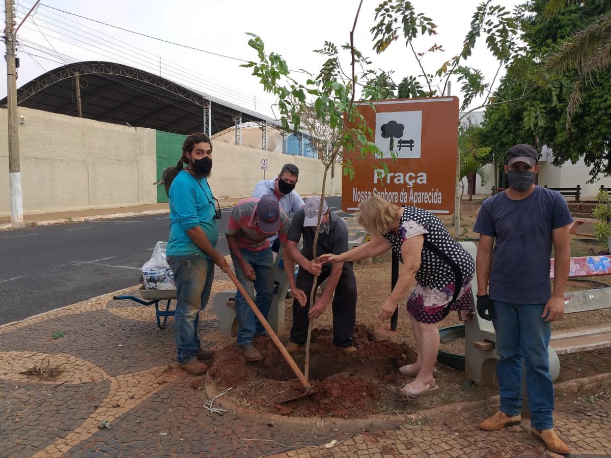 Prefeitura realiza plantio de várias mudas de árvores em Fernandópolis