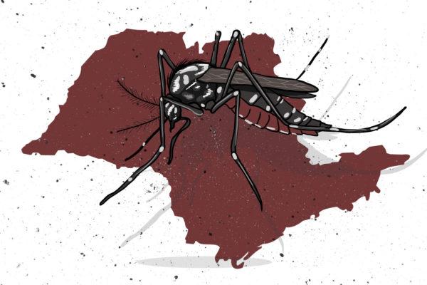 SP ultrapassa os 400 mil casos de dengue e tem novo recorde de mortes
