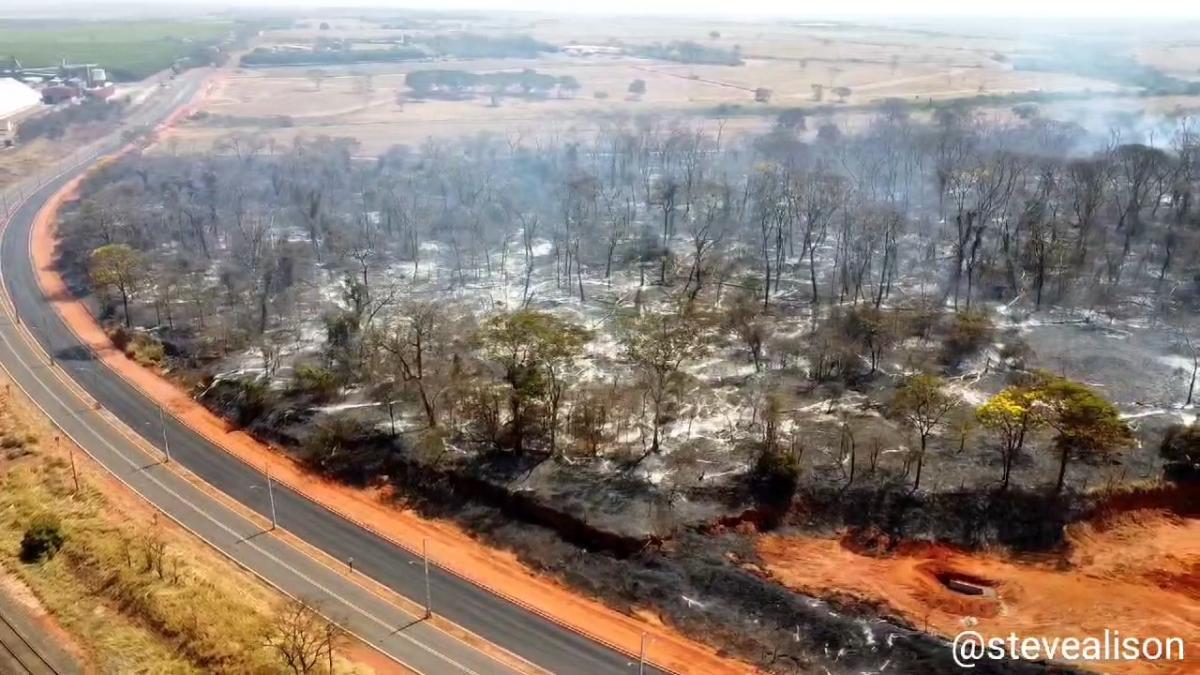 Incêndio devasta reserva ambiental no Universitário em Fernandópolis