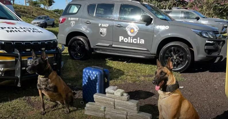 Adolescente é apreendido com drogas em ônibus interestadual